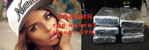 индика Верея