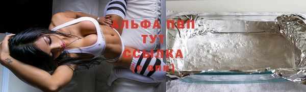 индика Верея