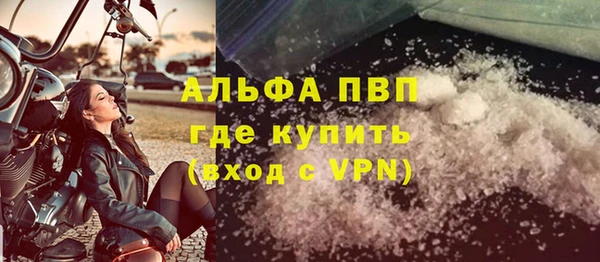 индика Верея