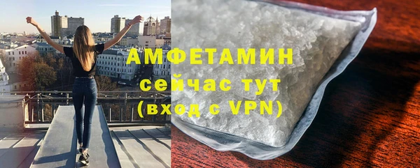индика Верея