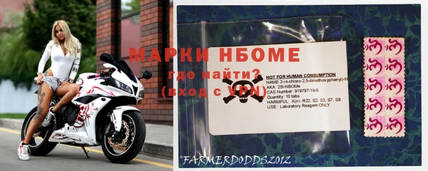 индика Верея
