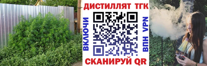 Дистиллят ТГК Wax  Кочубеевское 