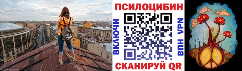 Псилоцибиновые грибы Psilocybine cubensis  Кочубеевское 